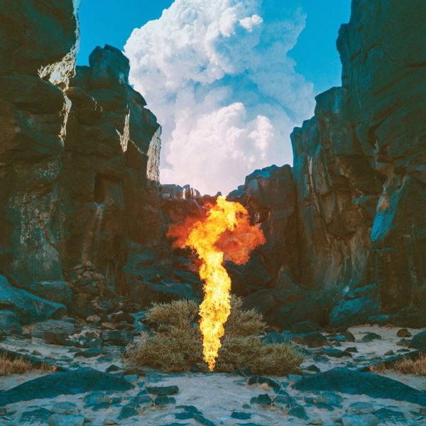 Bonobo - ''Migration''